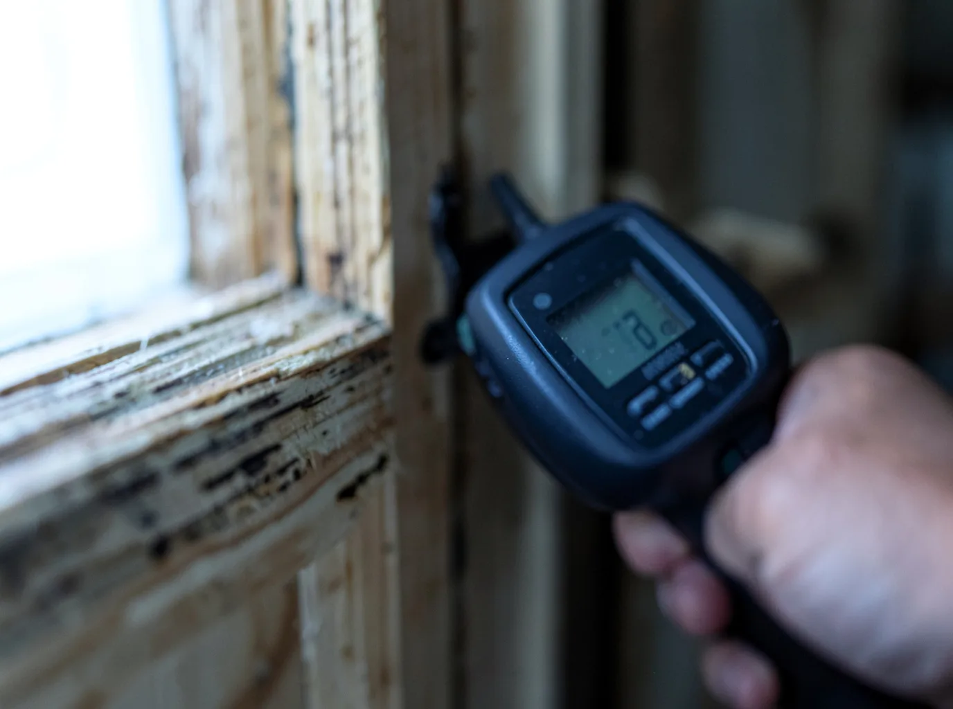 Moisture Inspection And Documentation in Alfred, NY